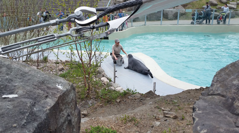 15196 - AQUARIUM DE QUÉBEC - Ombrière des phoques