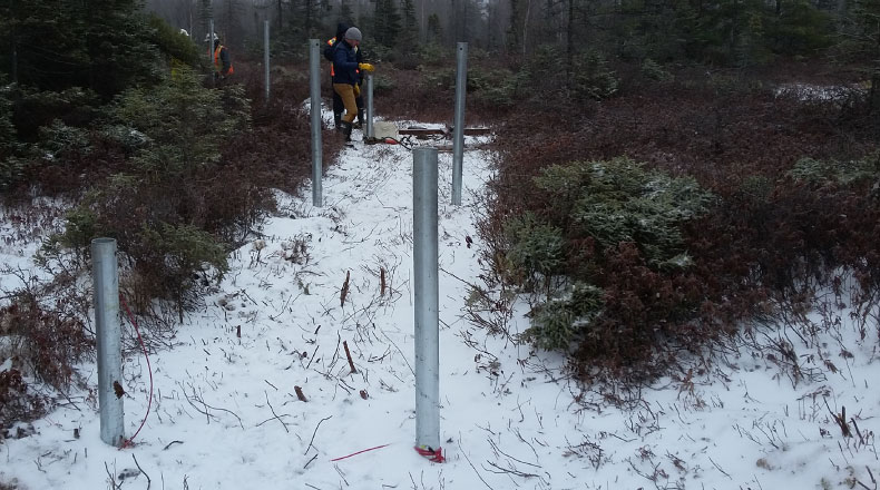 15161 - Ville Lévis sentier tourbière