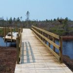 15161 – Ville Lévis sentier tourbière