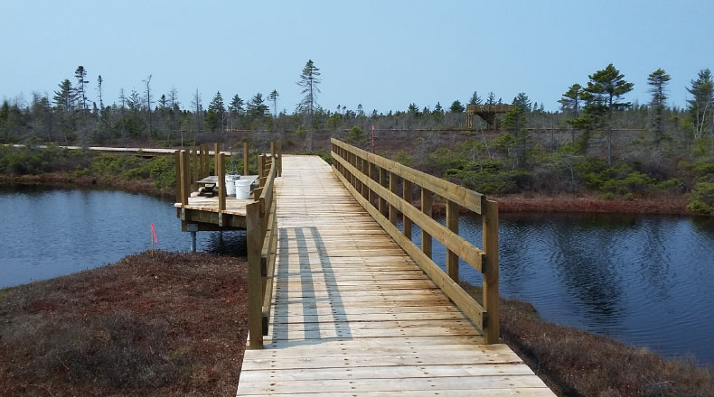 15161 - Ville Lévis sentier tourbière