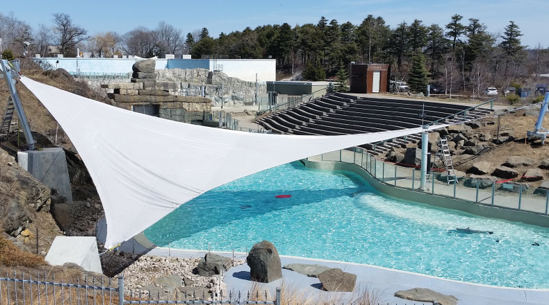 15196 - AQUARIUM DE QUÉBEC - Ombrière des phoques