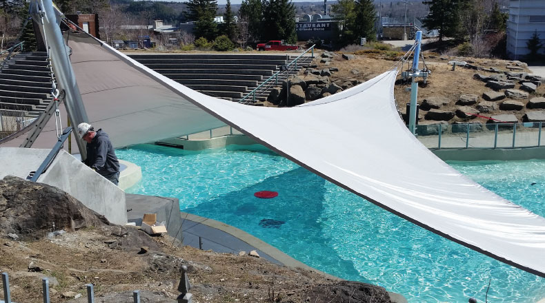 15196 - AQUARIUM DE QUÉBEC - Ombrière des phoques