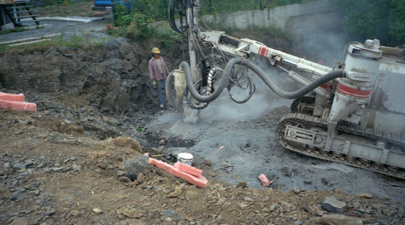 07-12 - Enclos des fauves - MLCP