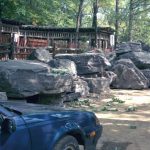 07-12 – Enclos des fauves – MLCP