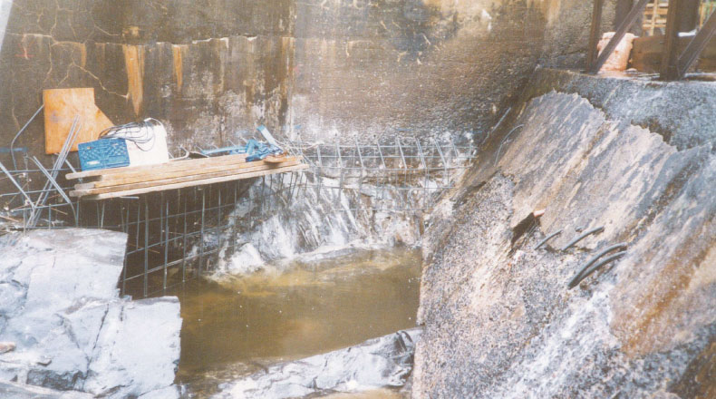 Produits Forestiers Donohue