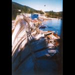 Donohue Forest Products