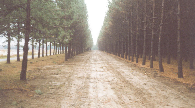 23-17 - Réfection du barrage Beaudet