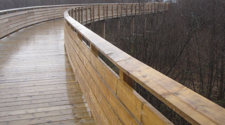 15161 - Ville Lévis sentier tourbière